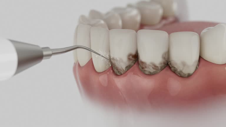 Reliable Dental contractor in Midland, PA by Dentist Open Now